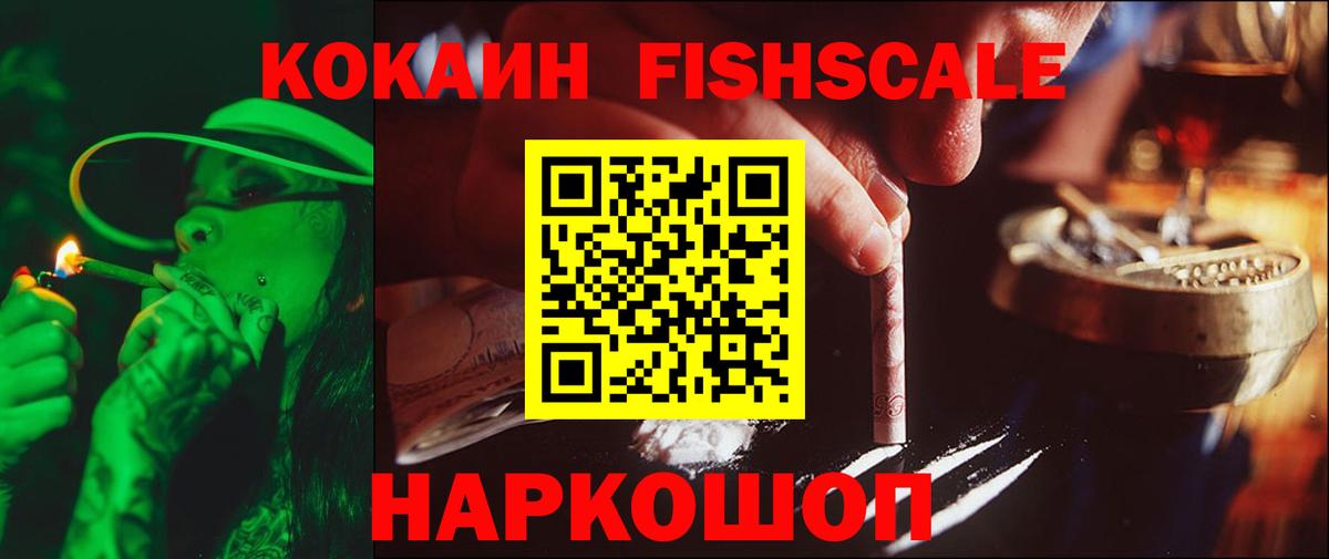 Выкса  Cocaine Fish Scale  Вход с VPN  Cocaine Fish Scale 