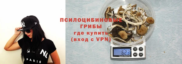 твердый Аркадак