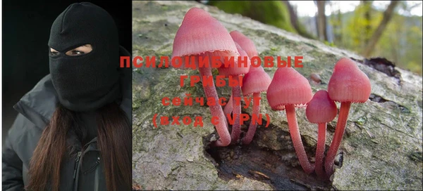 apvp Алексин