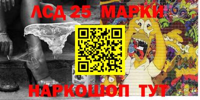 крисы Дубна