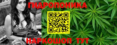 крисы Дубна