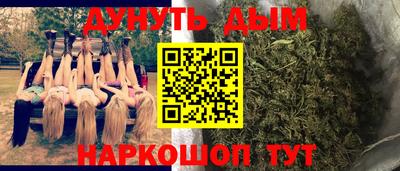 прущие крисы Донской