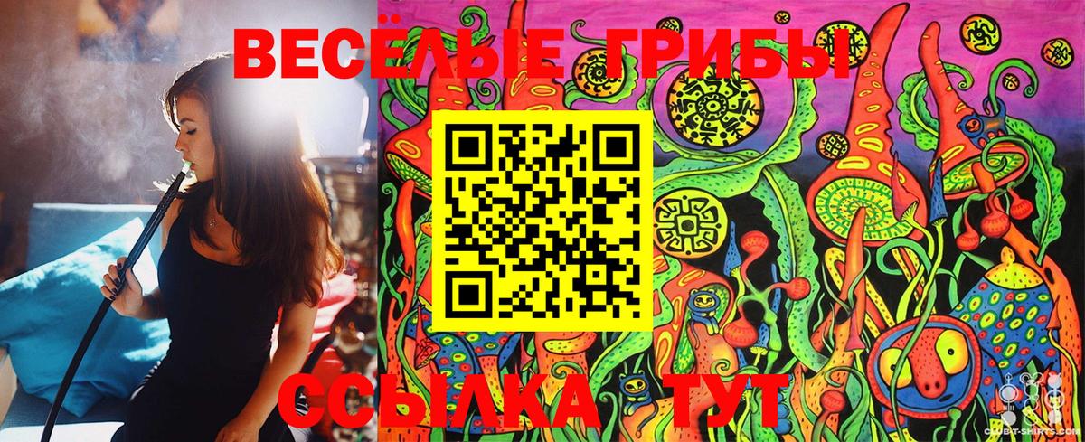Псилоцибиновые грибы Magic Shrooms  Вход с VPN  Галлюциногенные грибы Cubensis  Выкса 